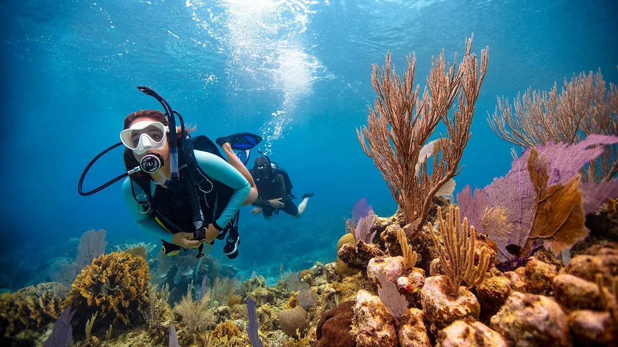 3D2N Perhentian The Barat Resort diving package with guided boat dives, tropical island and resort view